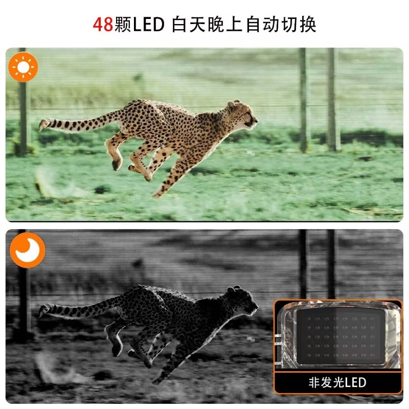 핫세일 DL001 사냥용 카메라 동물 추적 사냥용 카메 - Hunting Outdoor Camera 리뷰 및 가격