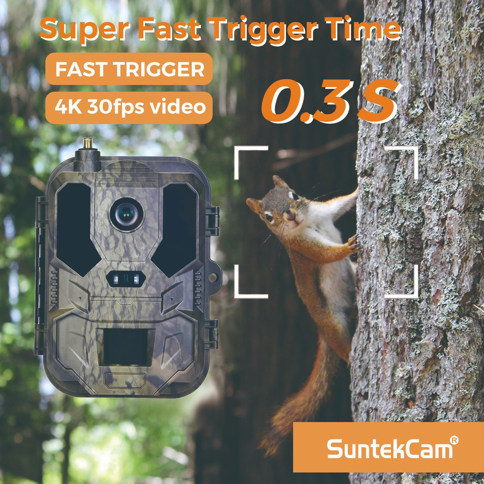 야외 4K 비디오 120MP 사진 4G 앱 전화 야생동 - Hunting Outdoor Camera 리뷰 및 가격