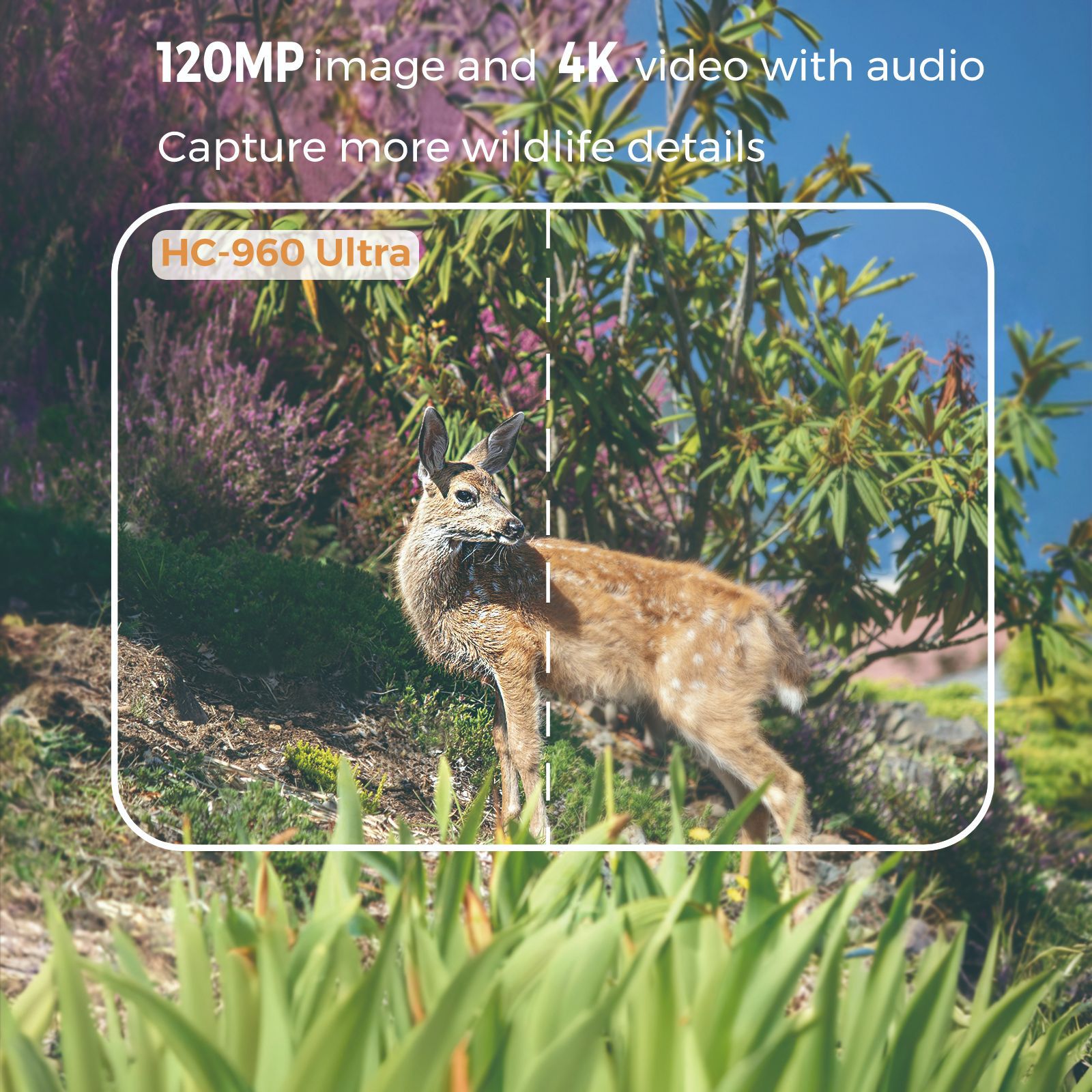 야외 4K 비디오 120MP 사진 4G 앱 전화 야생동 - Hunting Outdoor Camera 리뷰 및 가격