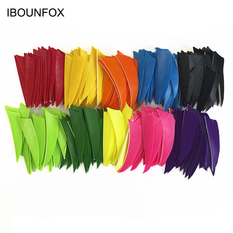 100 Pcs Hi-Q 3 인치 터키 화살표 깃털 방패 - Arrow Carbon Shaft 리뷰 및 가격