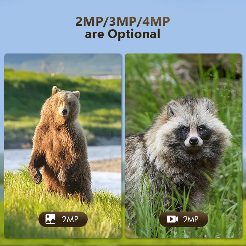 4G 4MP 야외 야생 동물 사냥 트레일 게임 카메라  - Hunting Outdoor Camera 리뷰 및 가격
